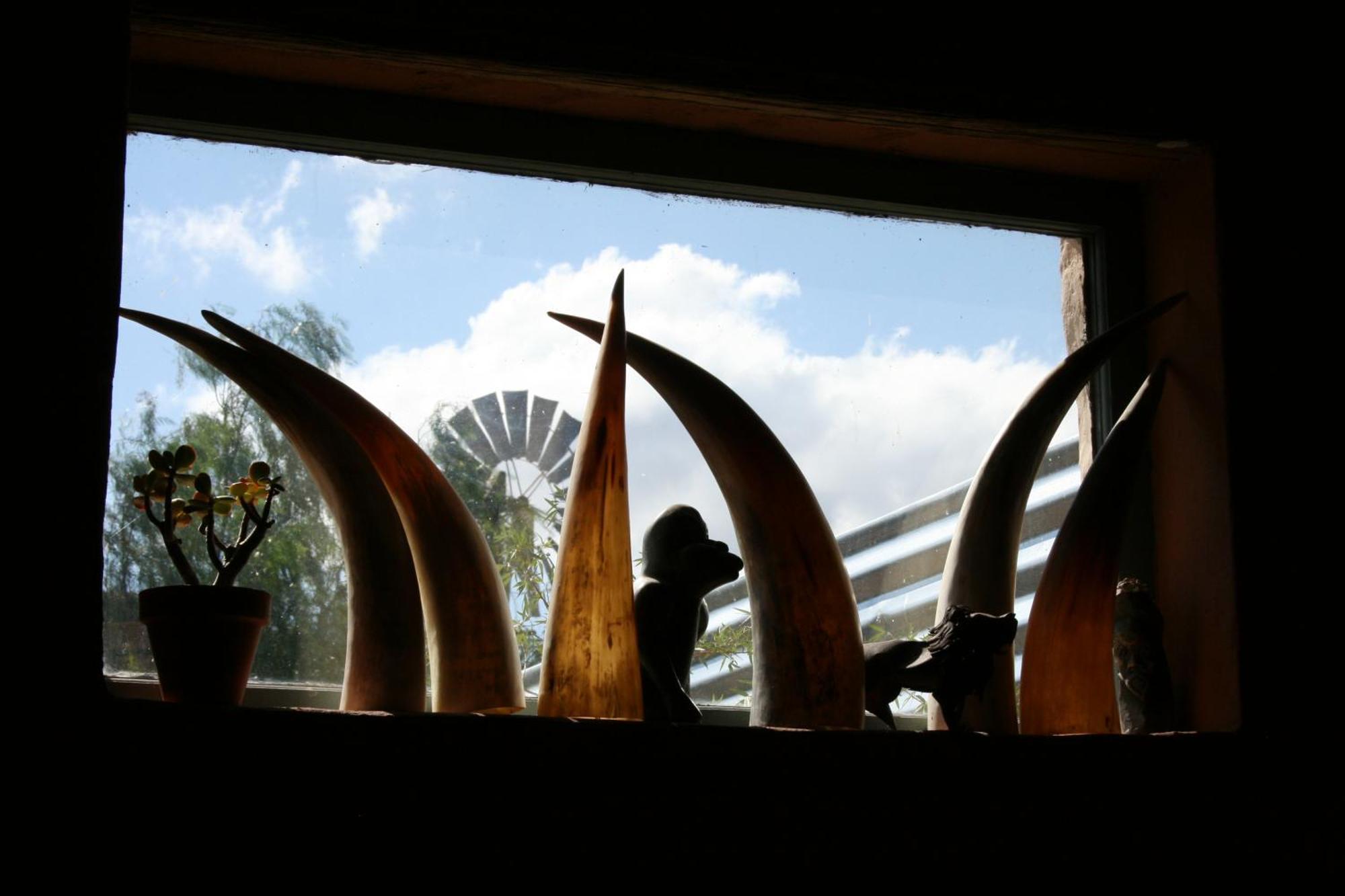 Wolverfontein Karoo Cottages Ladismith Exterior foto